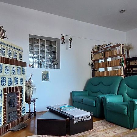 Mirmar - Blumenau Villa Брашов Екстериор снимка
